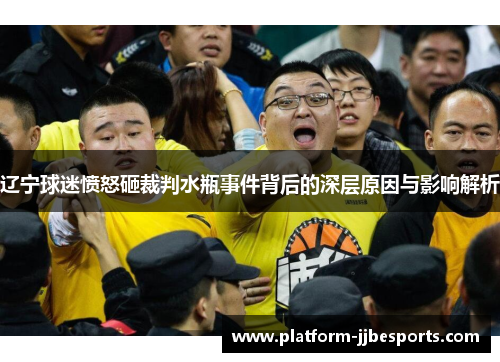 辽宁球迷愤怒砸裁判水瓶事件背后的深层原因与影响解析
