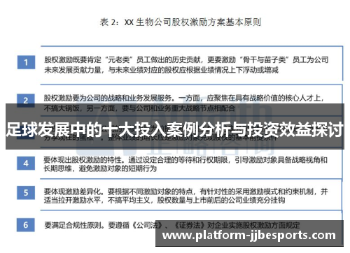 足球发展中的十大投入案例分析与投资效益探讨 足球发展中的十大投入案例分析与投资效益探讨